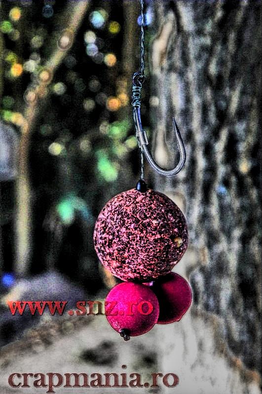 Debutmania - 2013 (3) - 1030722hdrmode2.JPG